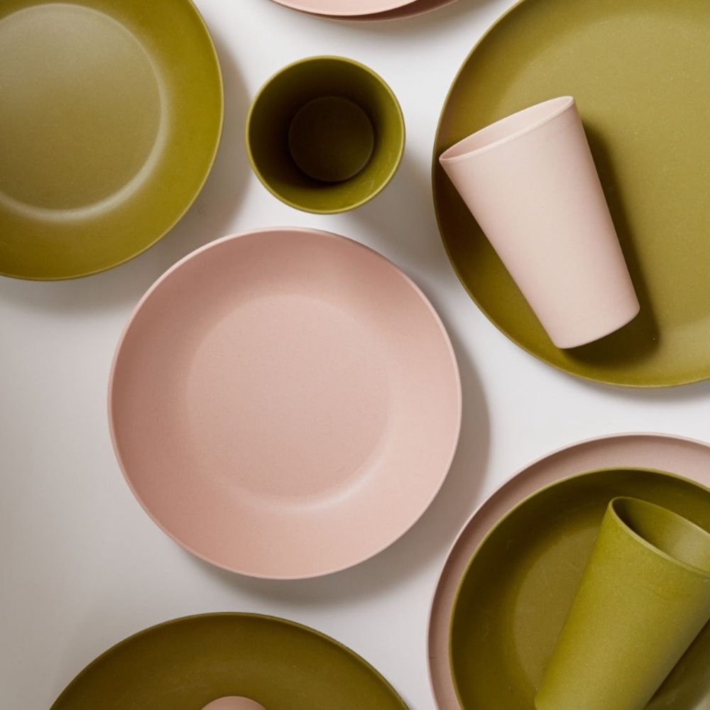 NWT 2  pink bamboo dinner plates pink